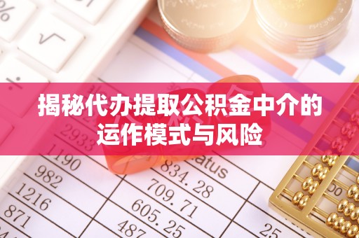 仁爱揭秘代办提取公积金中介的运作模式与风险