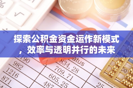 仁爱探索公积金资金运作新模式，效率与透明并行的未来