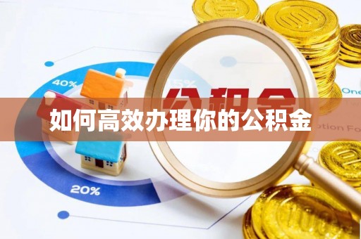 仁爱如何高效办理你的公积金