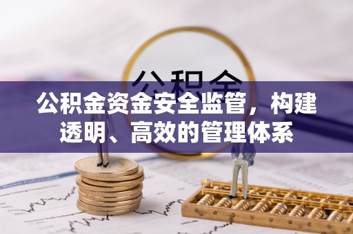 仁爱公积金资金安全监管，构建透明、高效的管理体系