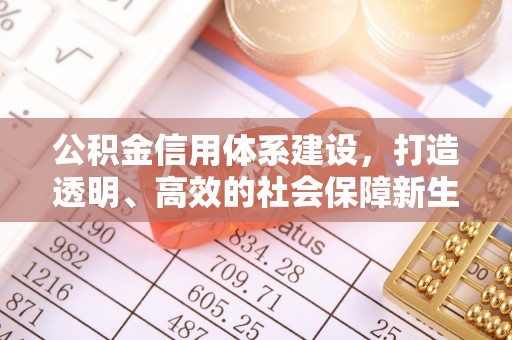 仁爱公积金信用体系建设，打造透明、高效的社会保障新生态