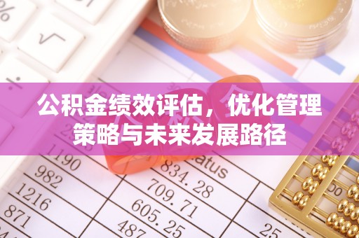 仁爱公积金绩效评估，优化管理策略与未来发展路径