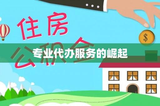 仁爱专业代办服务的崛起
