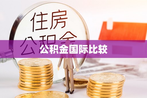 仁爱公积金国际比较