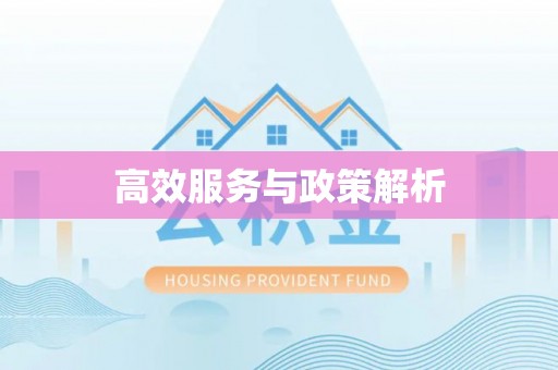 仁爱高效服务与政策解析