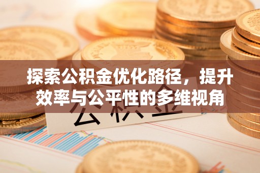 仁爱探索公积金优化路径，提升效率与公平性的多维视角