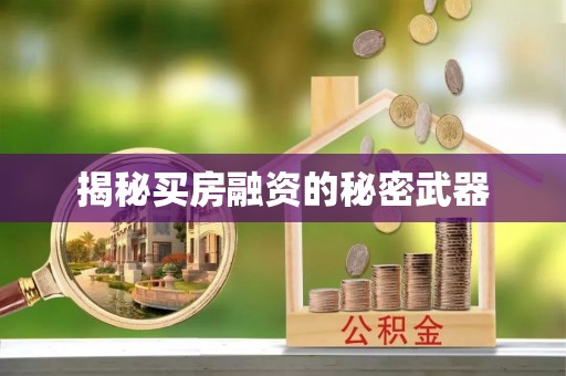 仁爱揭秘买房融资的秘密武器