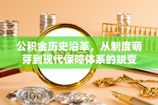 仁爱公积金历史沿革，从制度萌芽到现代保障体系的蜕变