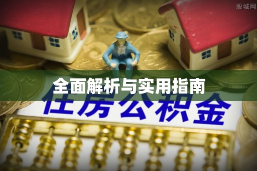 仁爱全面解析与实用指南