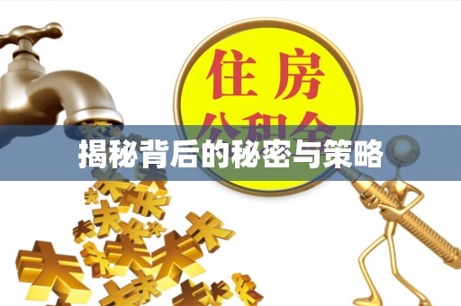 仁爱揭秘背后的秘密与策略