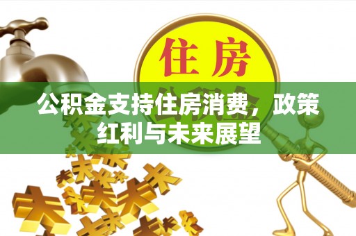 仁爱公积金支持住房消费，政策红利与未来展望