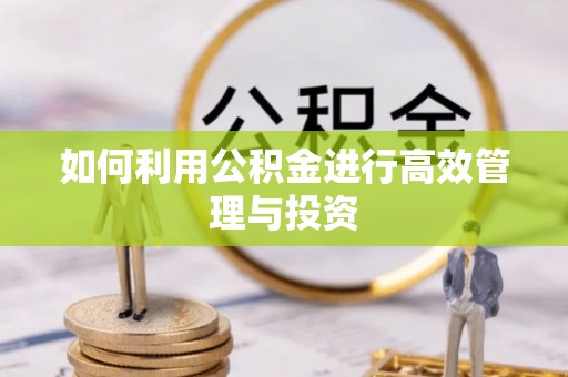 仁爱如何利用公积金进行高效管理与投资