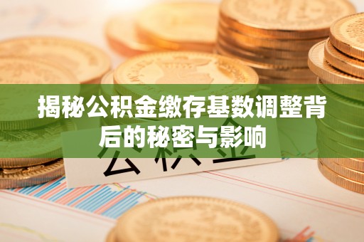 仁爱揭秘公积金缴存基数调整背后的秘密与影响