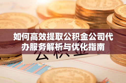 仁爱如何高效提取公积金公司代办服务解析与优化指南