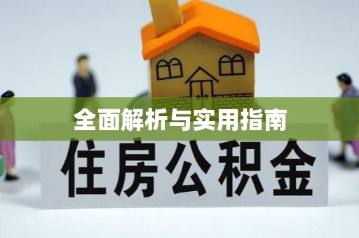 仁爱全面解析与实用指南