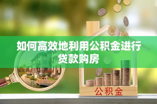 仁爱如何高效地利用公积金进行贷款购房