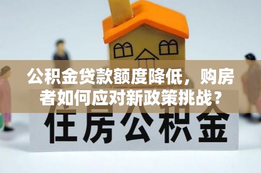 仁爱公积金贷款额度降低，购房者如何应对新政策挑战？