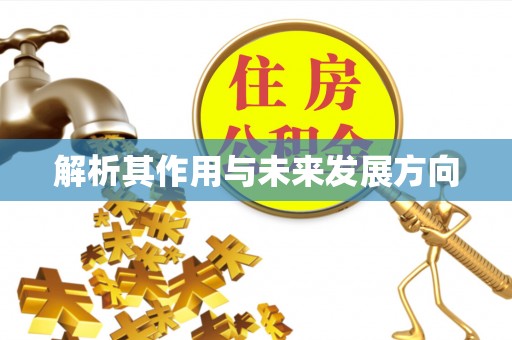 仁爱解析其作用与未来发展方向