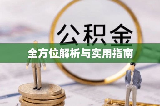 仁爱全方位解析与实用指南