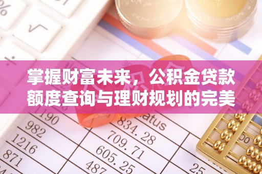 仁爱掌握财富未来，公积金贷款额度查询与理财规划的完美结合