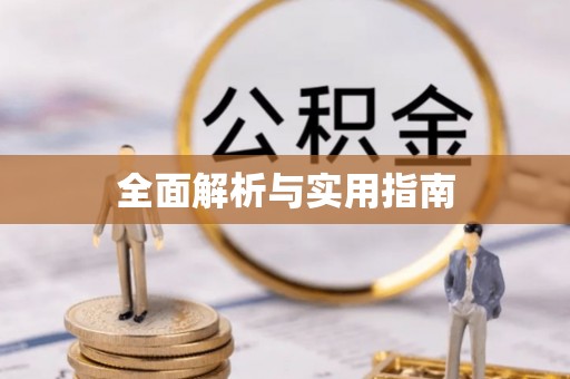 仁爱全面解析与实用指南
