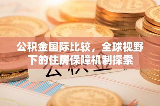 仁爱公积金国际比较，全球视野下的住房保障机制探索