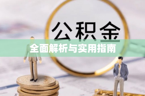 仁爱全面解析与实用指南